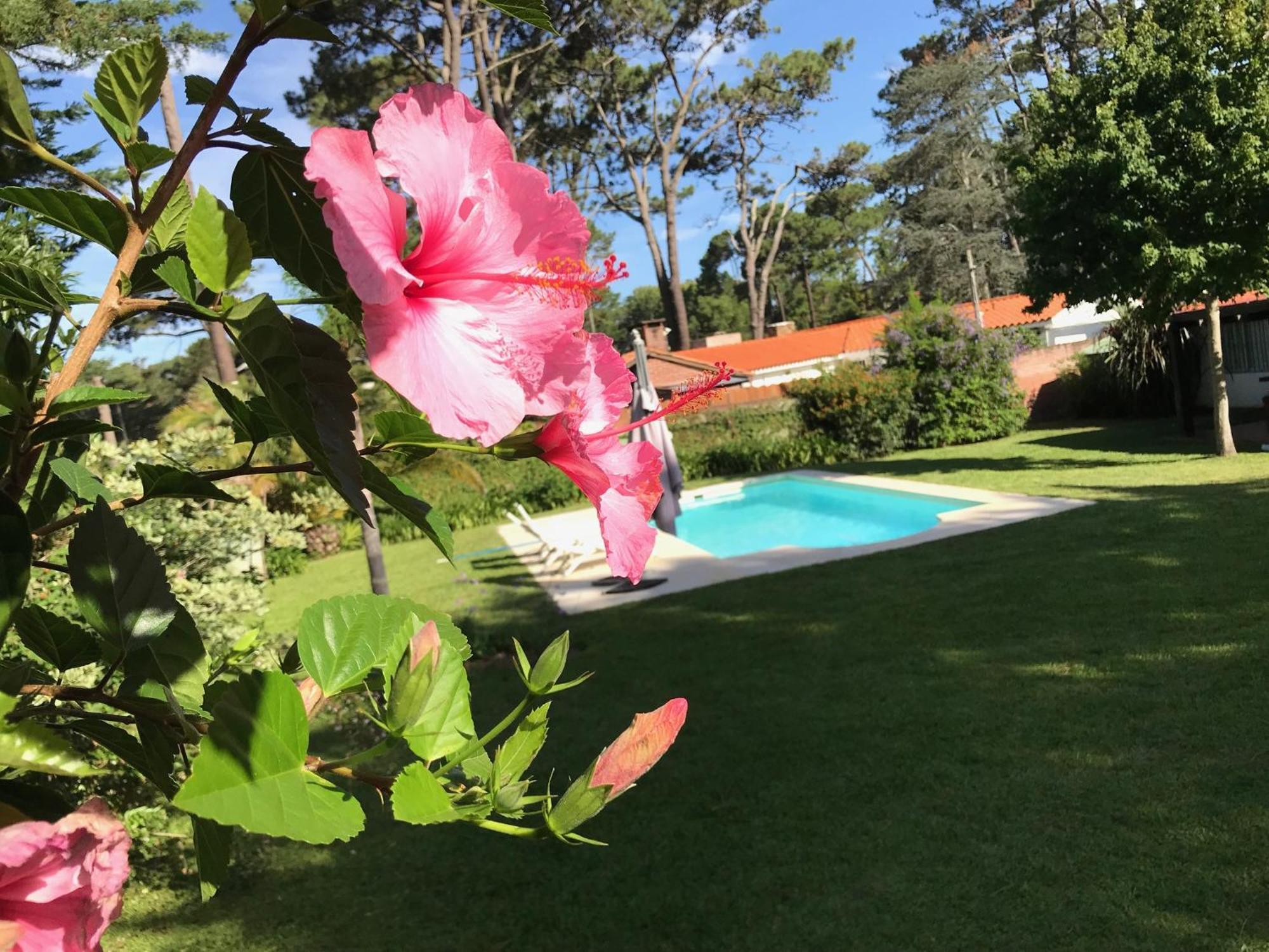 El Gauchito Villa Punta del Este Dış mekan fotoğraf